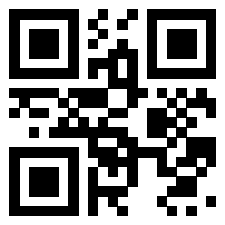 Il Qr Code di 3919615906