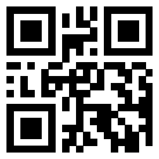 Il Qr Code di 3919615907