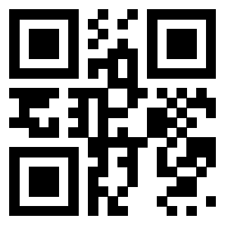 Il Qr Code di 3919615908