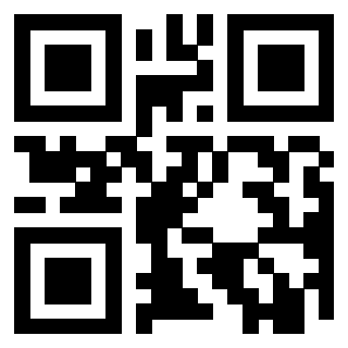 Il Qr Code di 3919615921