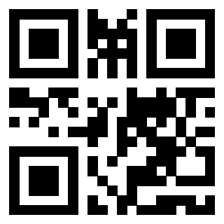 Il Qr Code di 3919615959