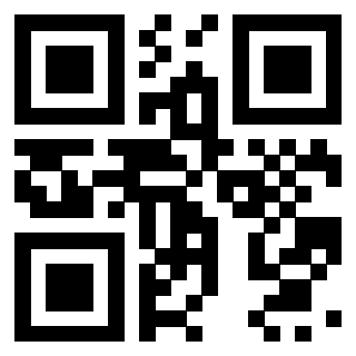 Il Qr Code di 3919615960