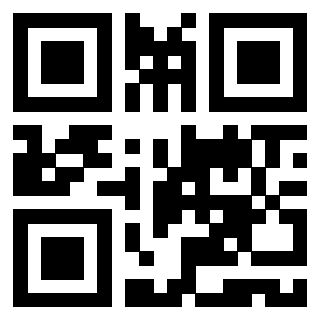 Il Qr Code di 3919615963
