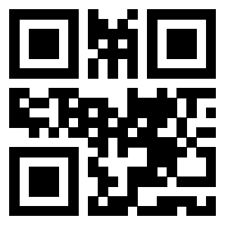 Il Qr Code di 3919615975