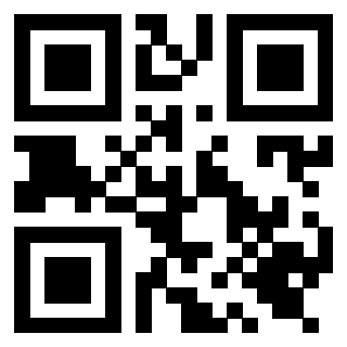 Il Qr Code di 3919615986