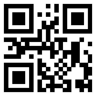 Il Qr Code di 3919615990