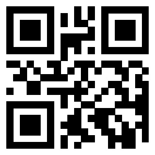Il Qr Code di 3919615999