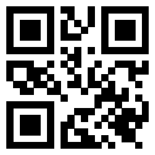 Il Qr Code di 3919616018