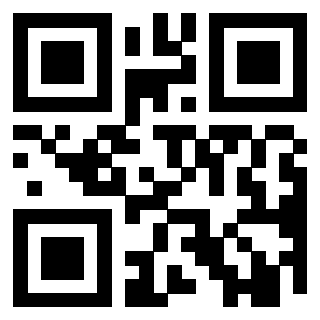 Il Qr Code di 3919616022
