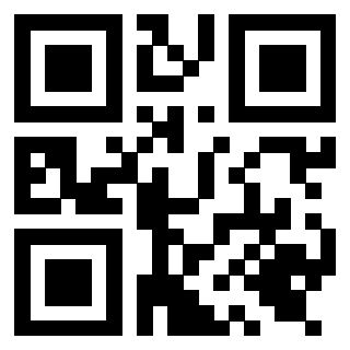 Il Qr Code di 3919616028