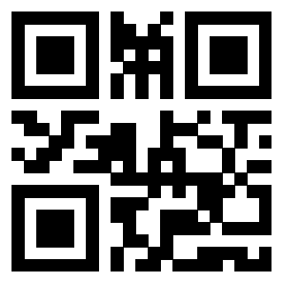 Il Qr Code di 3919616032