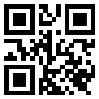 Il Qr Code di 3919616041