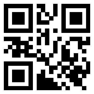 Il Qr Code di 3919616071
