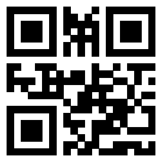 Il QrCode di 3919616073