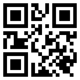 Il Qr Code di 3919616088