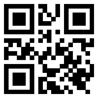 Il Qr Code di 3919616094