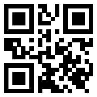 3919616095 QrCode associato
