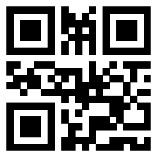 Il Qr Code di 3919616120