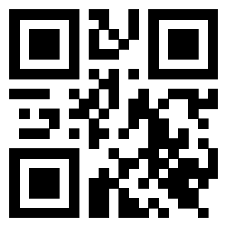 Il Qr Code di 3919616125