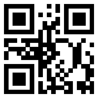 Il Qr Code di 3919616164