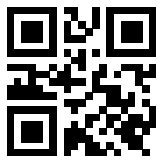 Il Qr Code di 3919616181