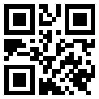 Il Qr Code di 3919616218