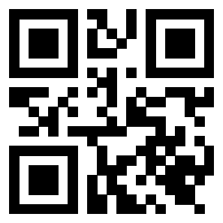 Il Qr Code di 3919616225