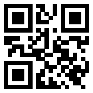 Il Qr Code di 3919616239