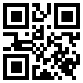Il Qr Code di 3919616245