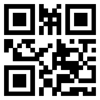 3919616256 Qr Code associato