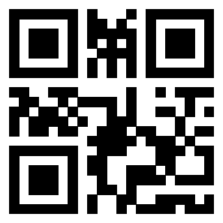 Il Qr Code di 3919616268