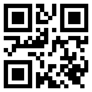Il Qr Code di 3919616283