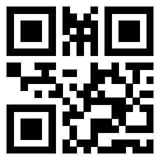 Il Qr Code di 3919616320