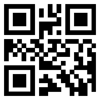 Il Qr Code di 3919616328