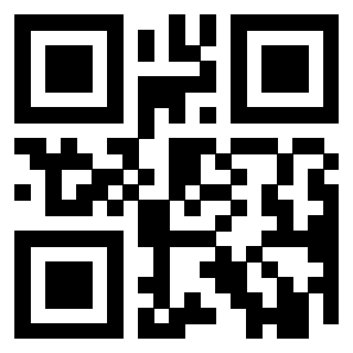 Il Qr Code di 3919616358
