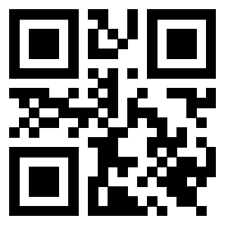 Il Qr Code di 3919616376