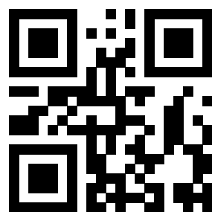 Il Qr Code di 3919616397