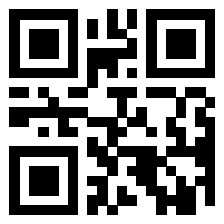 Il Qr Code di 3919616407