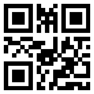 Il Qr Code di 3919616419