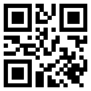 Il Qr Code di 3919616420