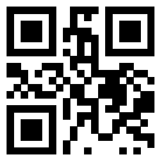 Il Qr Code di 3919616425