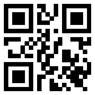 Il Qr Code di 3919616433