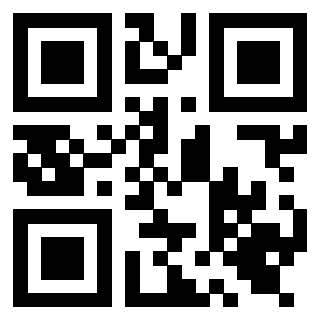 Il Qr Code di 3919616457
