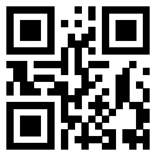 Il Qr Code di 3919616462