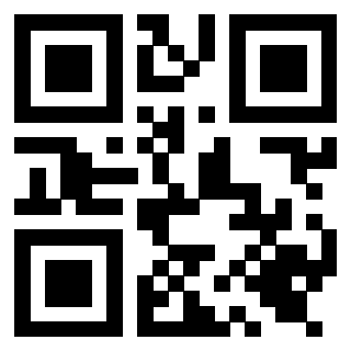 QrCode di 3919616482