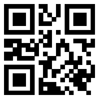 Il Qr Code di 3919616510