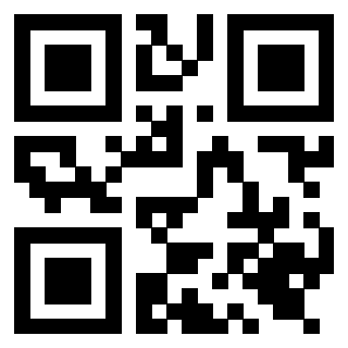 Immagine del QrCode di 3919616513