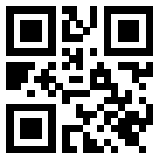 3919616531 QrCode associato