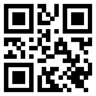 Il Qr Code di 3919616532