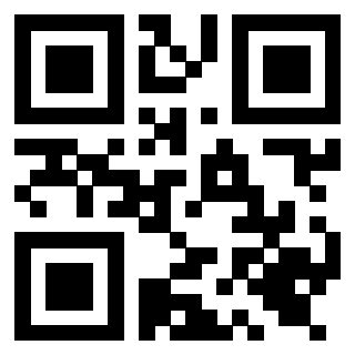 Il Qr Code di 3919616533